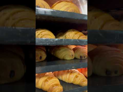 Alcor - Horno Ventilés Mixtos
